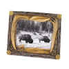 WILD COUNTRY PHOTO FRAME - POLYRESIN ANTHER INSPIRED PHOTO FRAME