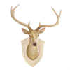 DEER BUST WALL DECOR - POLYRESIN DEER TROPHY WALL DECOR