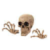 SKELETON WALL DECOR SET - HALLOWEEN SKELETON DECOR SET