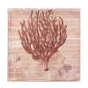 SEASIDE CORAL CANVAS WALL ART - CORAL WALL  DECOR
