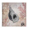 SPIRAL CONCH SHELL CANVAS WALL ART - SHELL CANVAS WALL ART